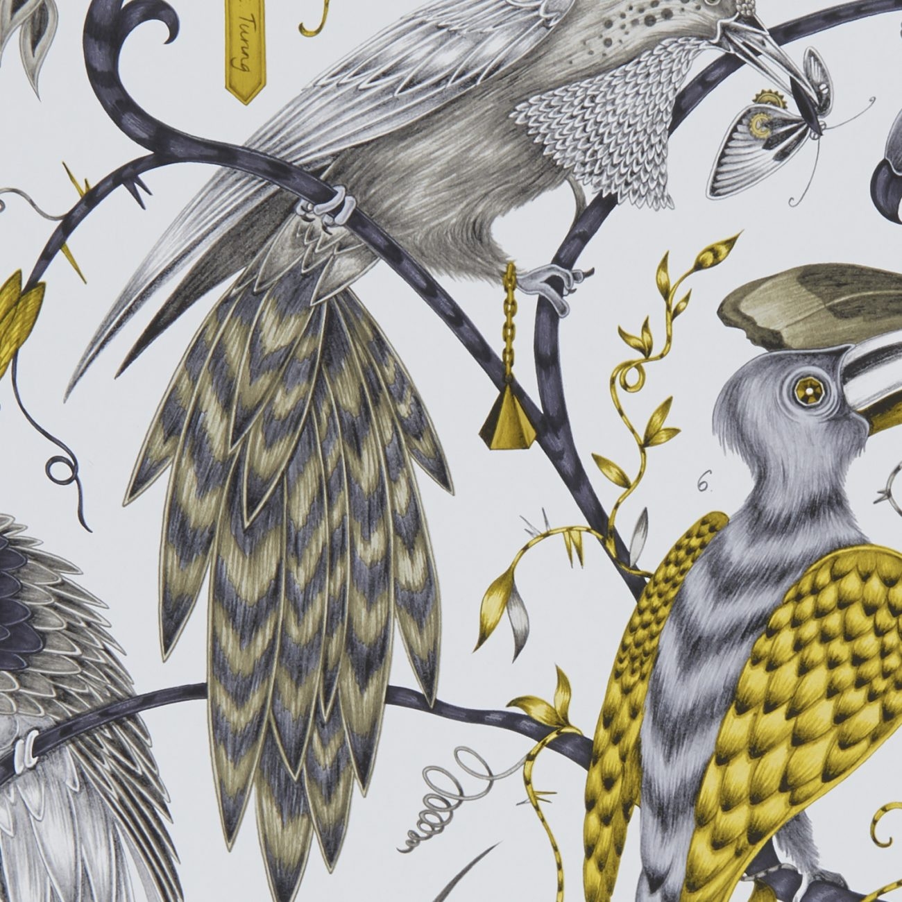 Audubon Audubon