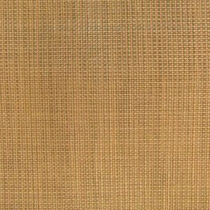 Goodmorning CS ↨ 325 cm