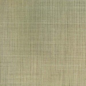 Goodmorning CS ↨ 325 cm