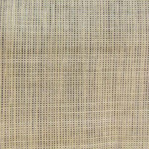 Goodmorning CS ↨ 325 cm