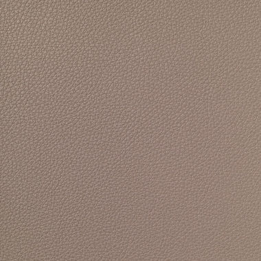 Licio E6017-01, kunstleer in een gladde, matte structuur
