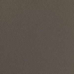 Licio E6017-01, kunstleer in een gladde, matte structuur