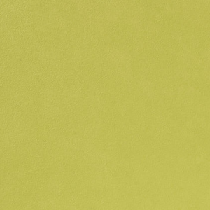 Licio E6017-01, kunstleer in een gladde, matte structuur