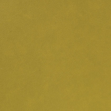 Licio E6017-01, kunstleer in een gladde, matte structuur