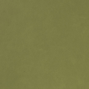 Licio E6017-01, kunstleer in een gladde, matte structuur