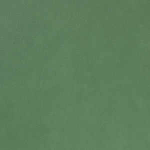 Licio E6017-01, kunstleer in een gladde, matte structuur