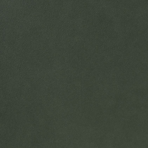 Licio E6017-01, kunstleer in een gladde, matte structuur