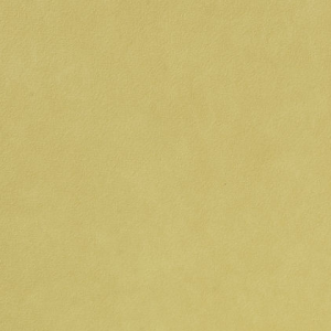 Licio E6017-01, kunstleer in een gladde, matte structuur