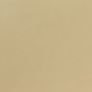 Licio E6017-01, kunstleer in een gladde, matte structuur