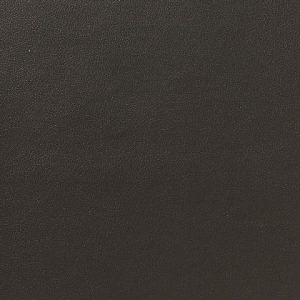 Licio E6017-01, kunstleer in een gladde, matte structuur