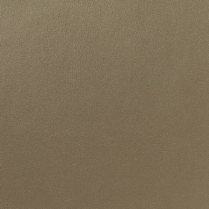 Licio E6017-01, kunstleer in een gladde, matte structuur