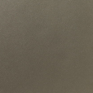 Licio E6017-01, kunstleer in een gladde, matte structuur