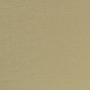 Licio E6017-01, kunstleer in een gladde, matte structuur