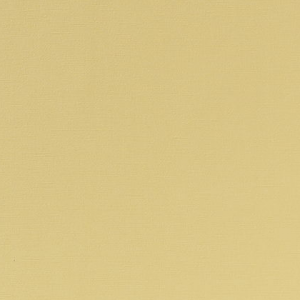 Licio E6017-01, kunstleer in een gladde, matte structuur